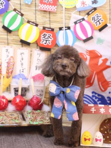 20240707杏ちゃん